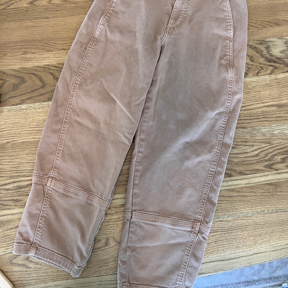 Everlane Utility Barrel Pant